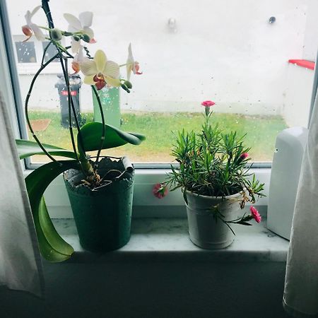 La Toskana Apartment Ihr Rueckzugsort Am Regen Zeitlarn Экстерьер фото